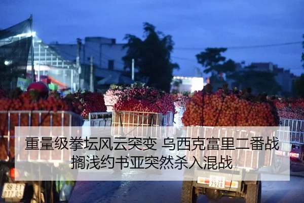 重量级拳坛风云突变 乌西克富里二番战搁浅约书亚突然杀入混战